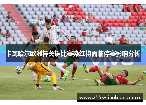 卡瓦哈尔欧洲杯关键比赛染红将面临停赛影响分析